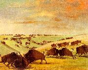 George Catlin Buffalo Bulls Fighting in Running Season-Upper Missouri Germany oil painting reproduction